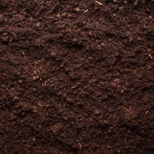 soil
